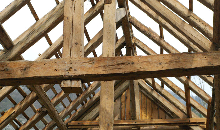 Traitement des bois, charpentes, toitures et lutte contre les parasites